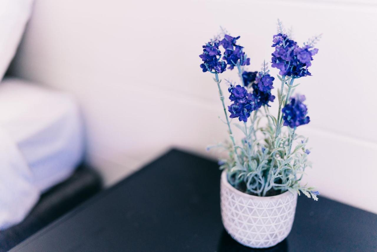 Motel Poinsettia Port Augusta Ngoại thất bức ảnh